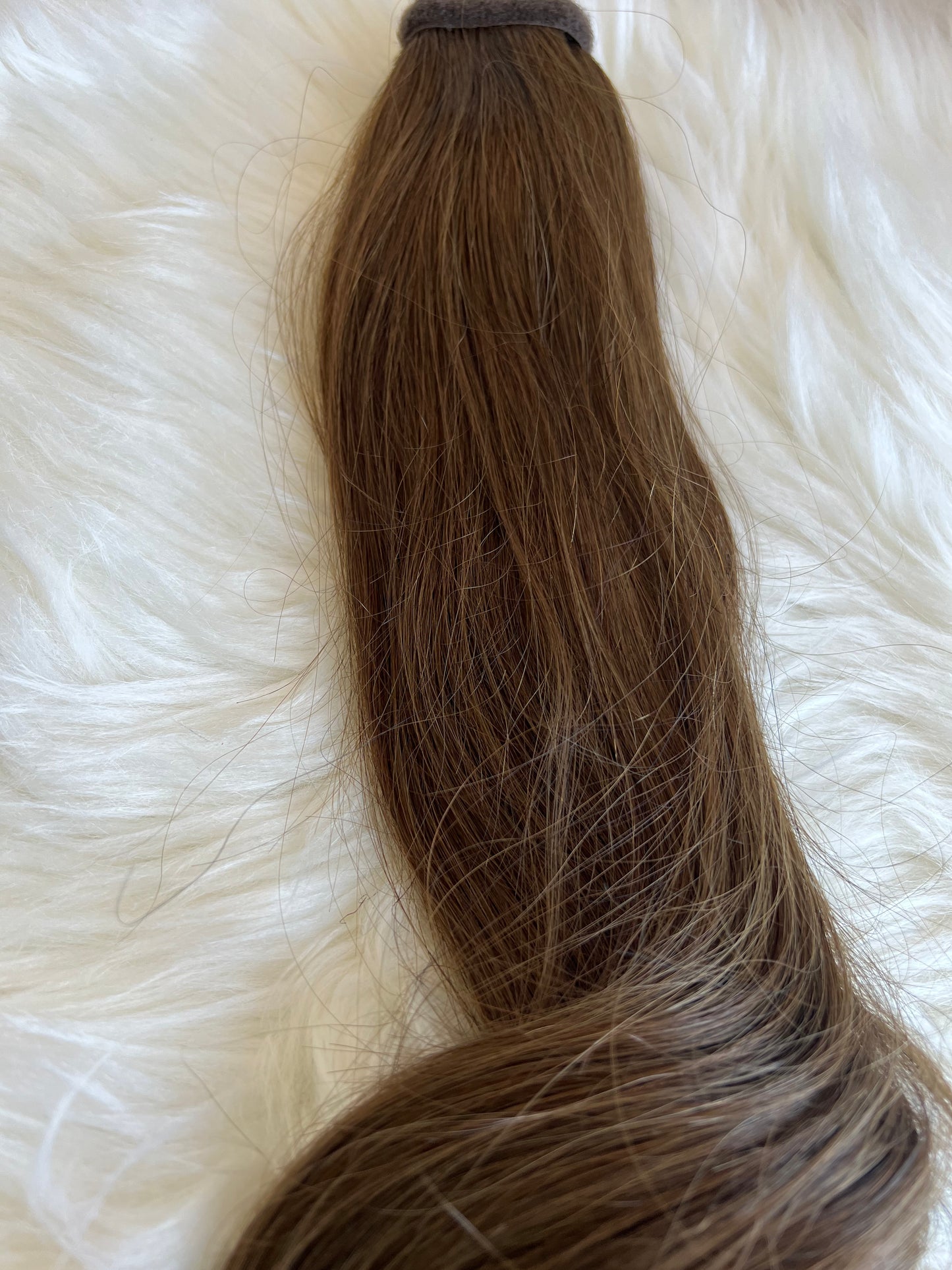 Cola 22’ color #4